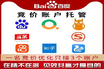 网络推广策略：竞价广告的实践案例
